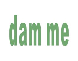 DAM ME 商标图样