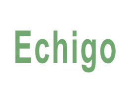 ECHIGO 商标图样