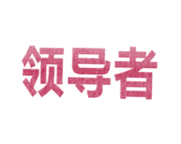 领导者 商标图样