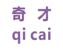 奇才 商标图样