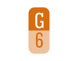 G6 商标图样