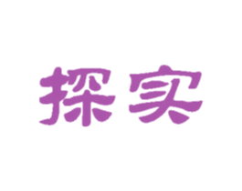 探实 商标图样