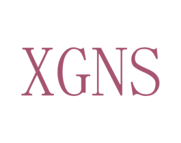 XGNS 商标图样