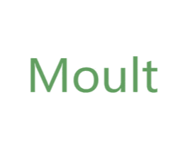 MOULT 商标图样