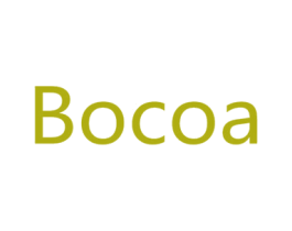 BOCOA 商标图样