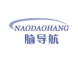 脑导航 商标图样