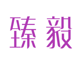 臻毅 商标图样