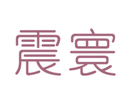 震寰 商标图样