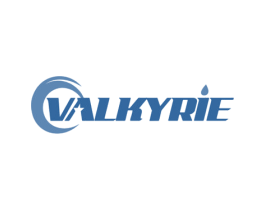 VALKYRIE 商标图样