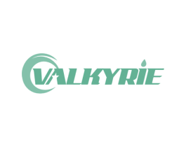 VALKYRIE 商标图样