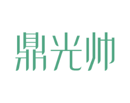 鼎光帅 商标图样
