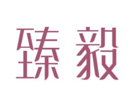 臻毅 商标图样