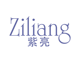 紫亮 商标图样