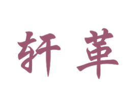 轩革 商标图样