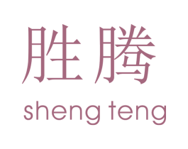 胜腾 商标图样