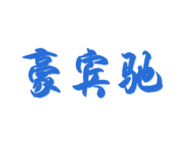 豪宾驰 商标图样