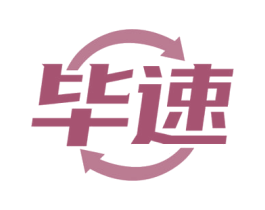 毕速 商标图样
