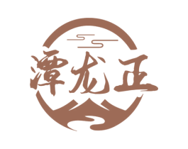 潭龙正 商标图样