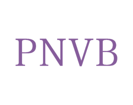 PNVB 商标图样