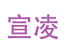 宣凌 商标图样