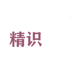 精识 商标图样