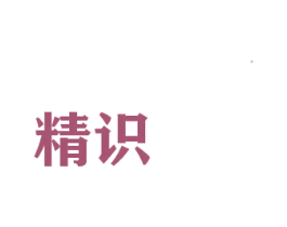 精识 商标图样