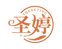 圣婷 商标图样