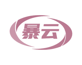 暴云 商标图样