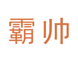 霸帅 商标图样