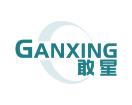 敢星 商标图样