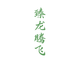 臻龙腾飞 商标图样