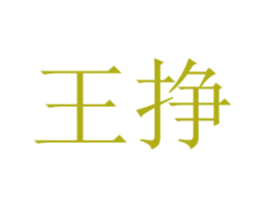 王挣 商标图样