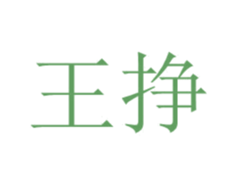 王挣 商标图样