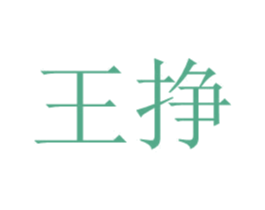 王挣 商标图样