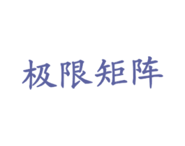 极限矩阵 商标图样