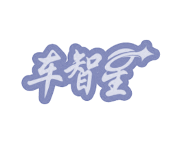 车智星 商标图样